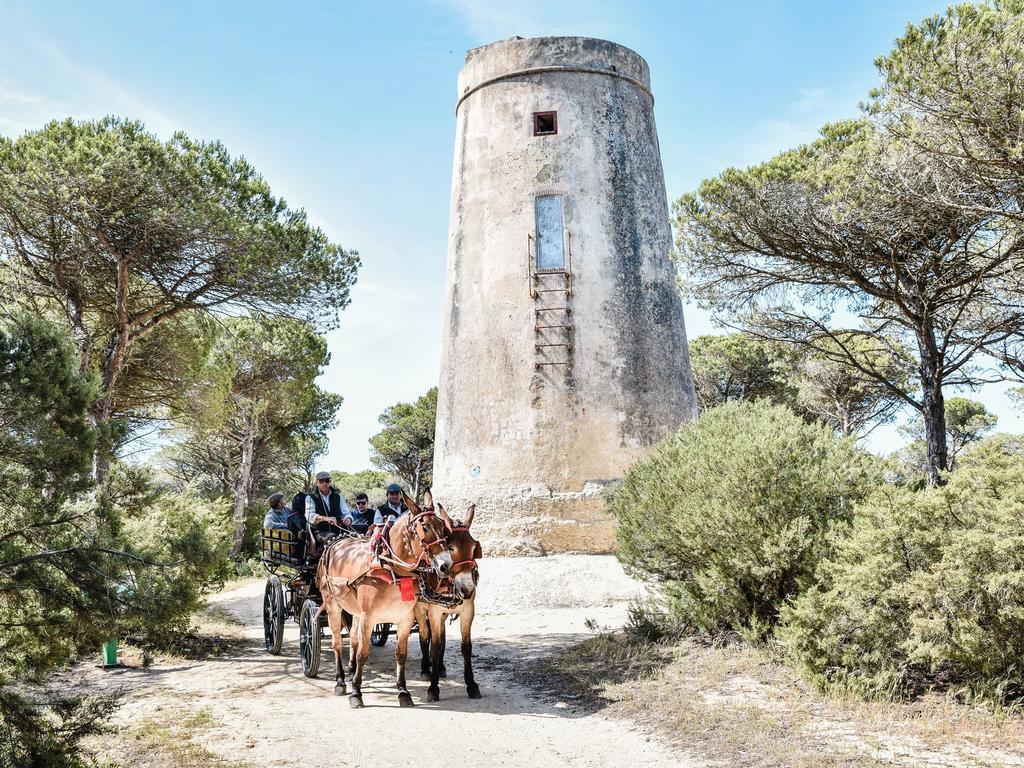 Casa Rural Aldea Chica Villa Los Canos De Meca Eksteriør billede